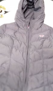 Hollister jacket